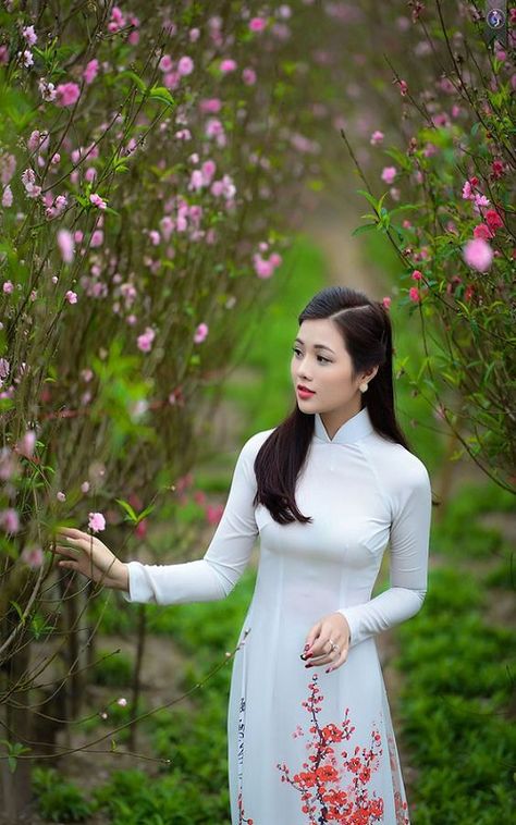 韓國(guó)電影學(xué)生