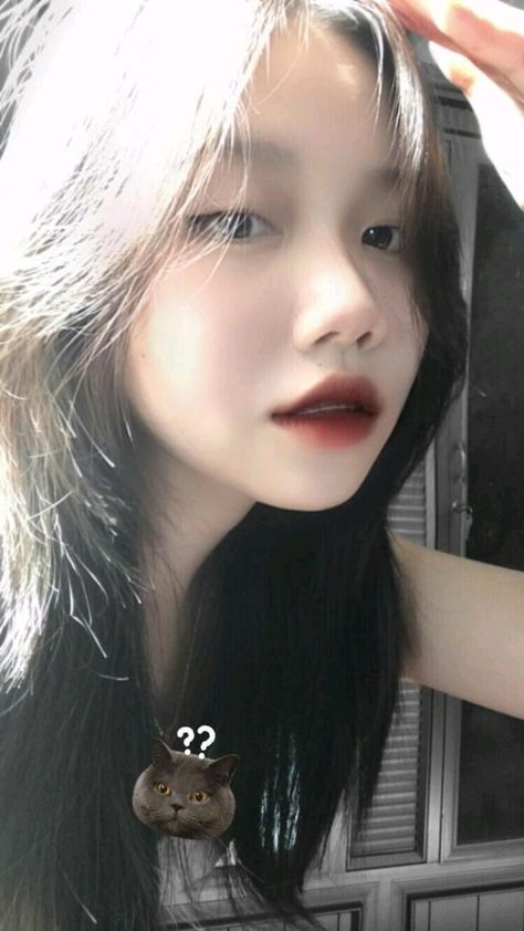 洪天照