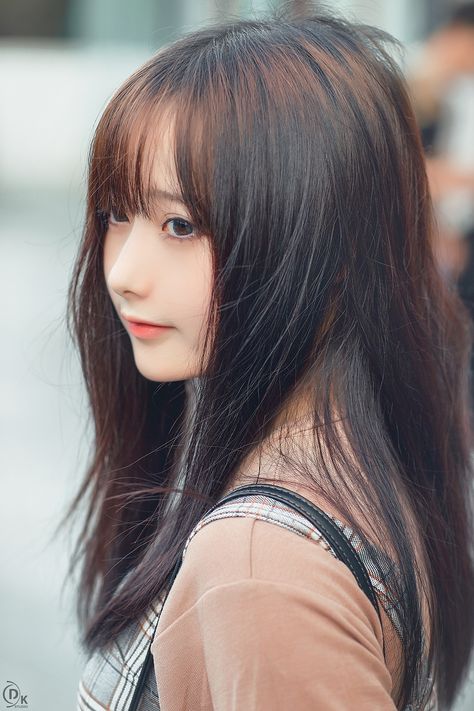 那年那兔那些事動漫