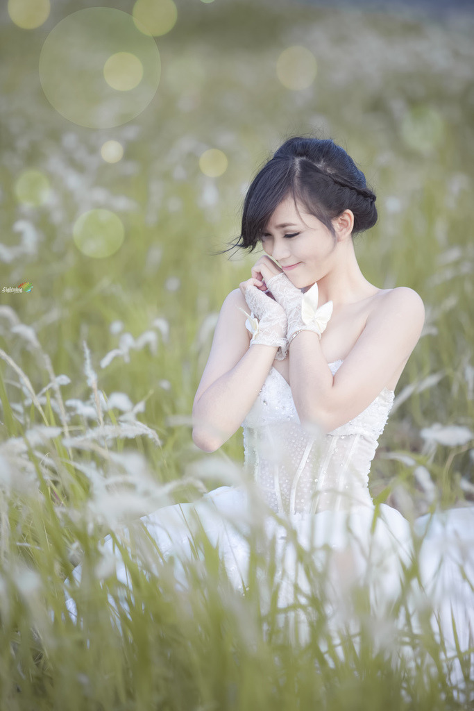 局內(nèi)人2015