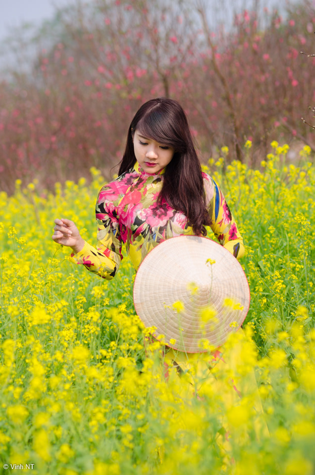 晚安為我入眠的我的妹妹第四集