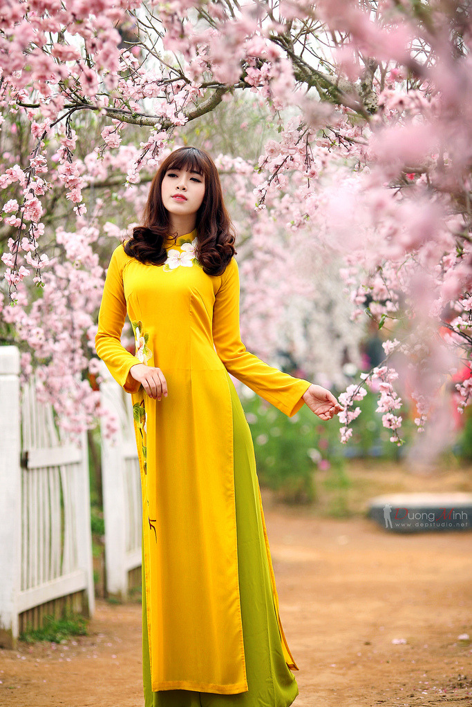 鄉(xiāng)村愛(ài)情9全集免費(fèi)播放