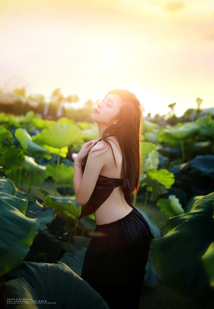 愛戀在線
