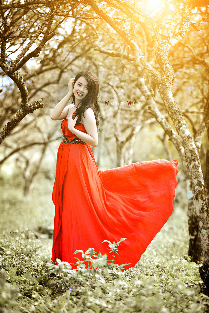 百合h動(dòng)漫