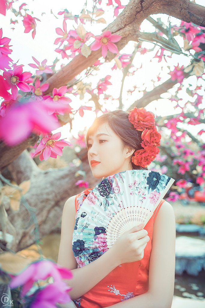 丁香花免費