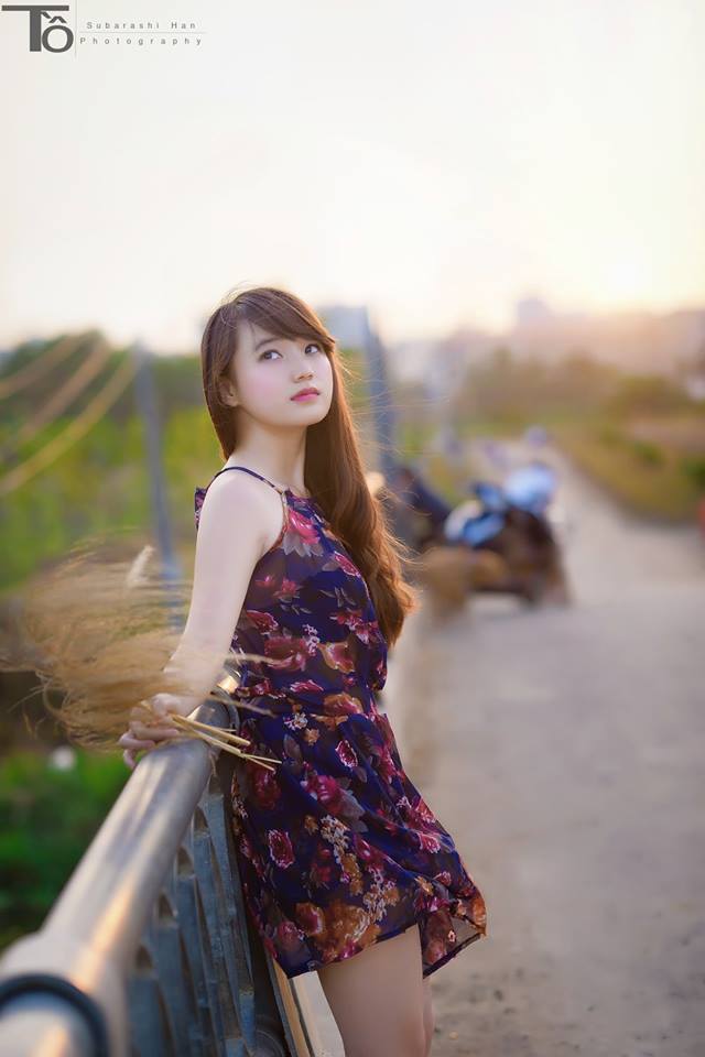 韓國成人學(xué)院