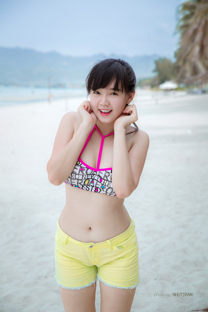 蒲公英家族