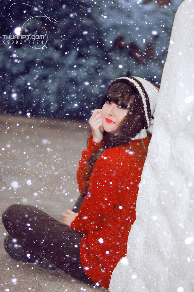 《風(fēng)花雪月》在線觀看