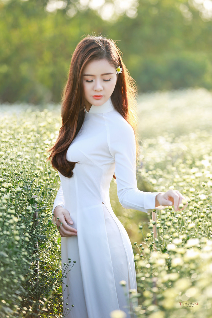 黑暗圣經(jīng)動(dòng)漫在線