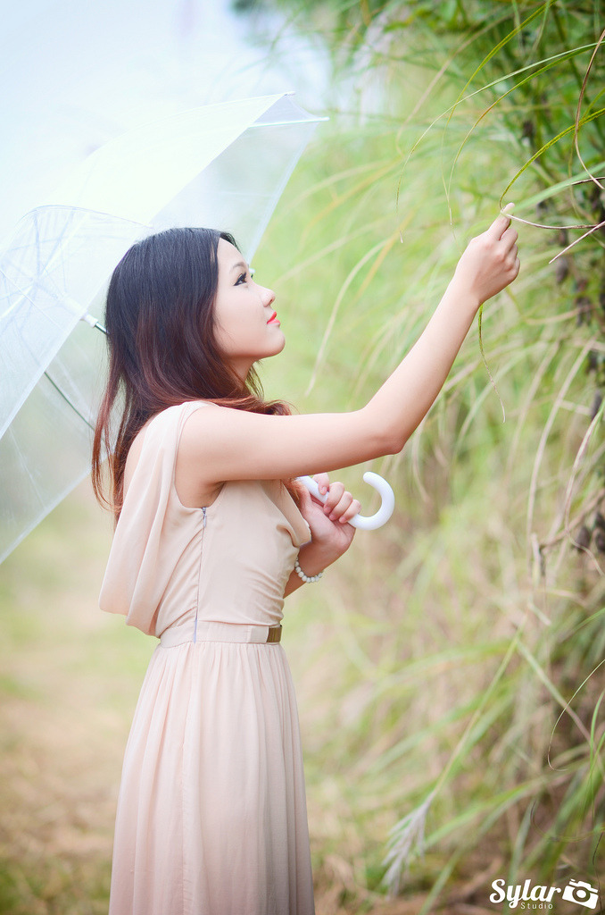 追愛家族電視劇